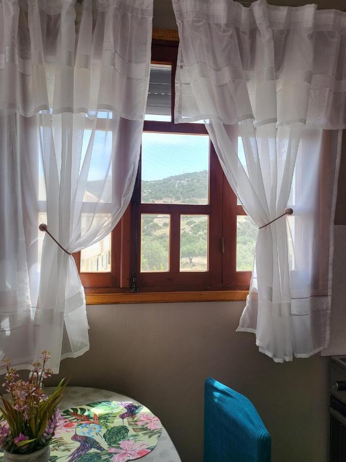 Appartement Roumeliotis House à Karpathos Extérieur photo